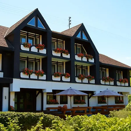 Hotel Laarmann 3*